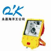 供应防爆泛光灯 BFC8110